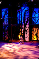 GHAA Into the Woods Matinee Act I 1-27-14